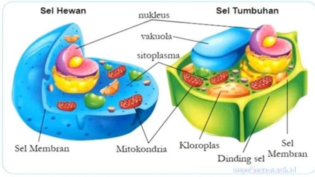 Cara Membuat Rangkuman Materi IPA yang Menarik