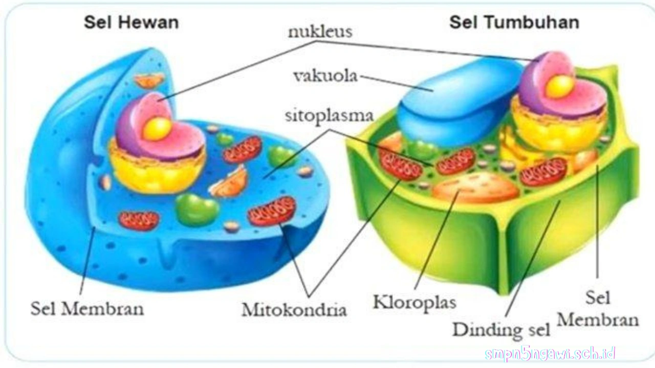 rangkuman-materi-ipa